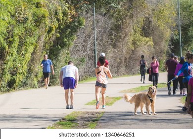 Dallas, Texas / USA- March 3rd, 2019: People And Dog Out Enjoying The Warm Weather On The Katy Trail Near The Katy Ice House.  