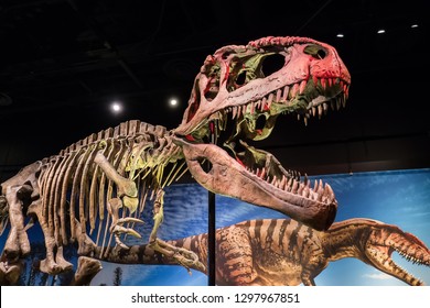 giganotosaurus skeleton museum