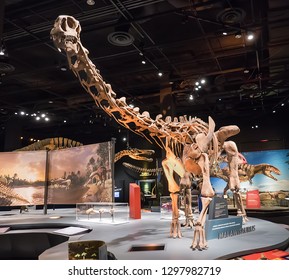 26 Perot museum of nature and science Images, Stock Photos & Vectors ...