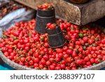 Dalle Khursani (round chili) also call Akbare khursani at Asan Bazar, Chittadhar Marg, Kathmandu, Nepal. Freshly harvested red ripe dalle chilies.  Asan Tole is a famous market street in the city of A