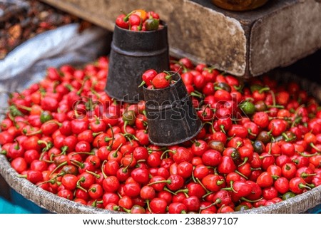 Dalle Khursani (round chili) also call Akbare khursani at Asan Bazar, Chittadhar Marg, Kathmandu, Nepal. Freshly harvested red ripe dalle chilies.  Asan Tole is a famous market street in the city of A [[stock_photo]] © 