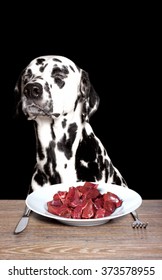 Dalmatian Does Not Want To Eat Meat