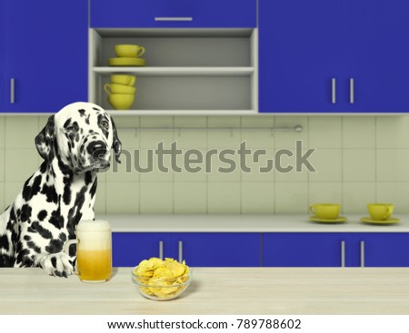 Dalmatian dog drinking beer with chips in the kitchen
