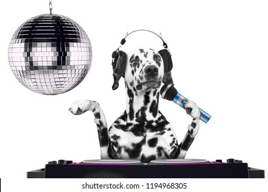 Dalmatian dog singing with microphone a karaoke song in a night club -- isolated on white background