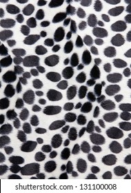 Dalmatian Skin Pattern Texture