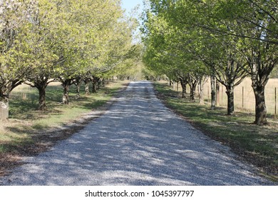 Dalton, GA USA 3/12/2018. Spring Sunny Day And Nice Road.