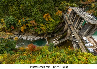 A dam in the forest. 