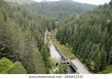 Dam on a mountain river in Bulgaria, aerial photo of a coniferous forest.