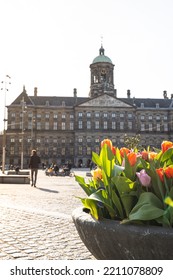 Dam Square Amsterdam With Tulips In The Netherlands 