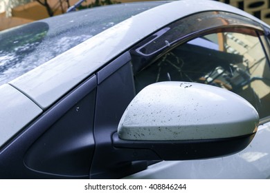 4,710 Insects on car Images, Stock Photos & Vectors | Shutterstock