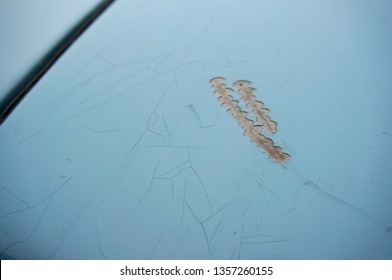 Rusted Car Paint Images Stock Photos Vectors Shutterstock