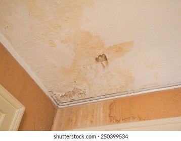 Damp Ceiling Stock Photos Images Photography Shutterstock
