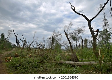 Damage Caused By A Tornado In June 2021, Stebno, Louny District, Czech Republic.