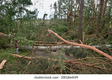 Damage Caused By A Tornado In June 2021, Stebno, Louny District, Czech Republic.