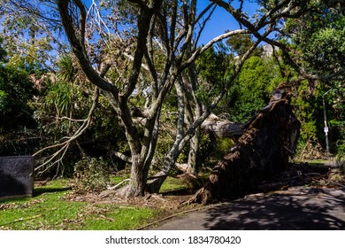 Damage Caused To Western Springs Duck Pond After A Storm, Auckland, New Zealand