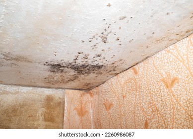 Damage ceiling from water pipelines leakage. Housing problem concep - Shutterstock ID 2260986087