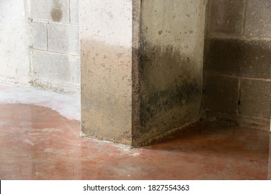 Damage To A Concrete Column From Water In The Basement