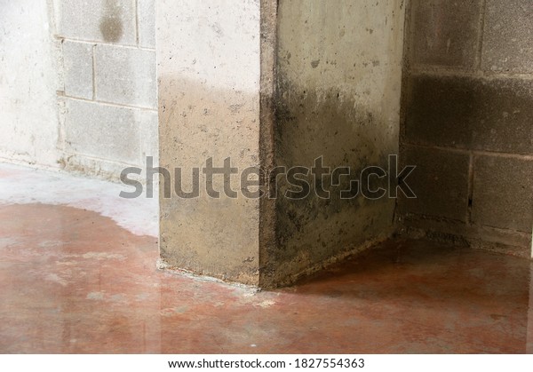 Damage to\
a concrete column from water in the\
basement