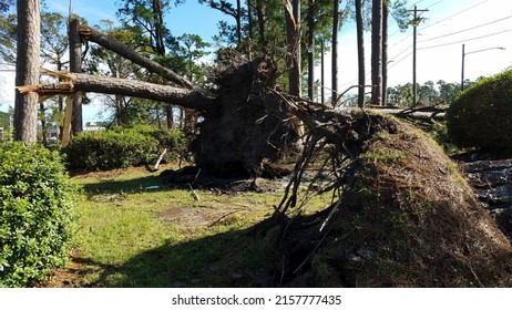 Damage And Destruction Caused By Hurricane Florence In SE North Carolina That Hit In 2018.  Trees Uprooted, And Businesses Damaged.