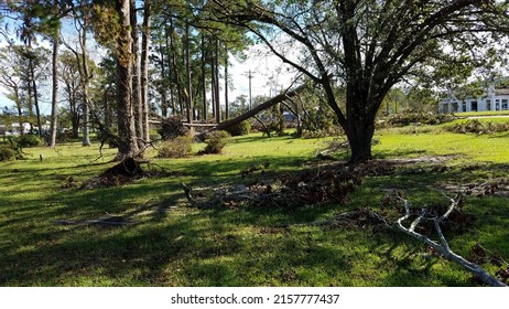 Damage And Destruction Caused By Hurricane Florence In SE North Carolina That Hit In 2018.  Trees Uprooted, And Businesses Damaged.