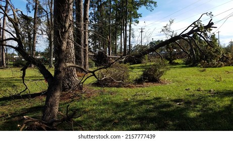 Damage And Destruction Caused By Hurricane Florence In SE North Carolina That Hit In 2018.  Trees Uprooted, And Businesses Damaged.