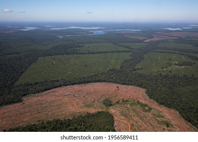Damage in nature. The atmosphere from above. Aerial view of the Amazon jungle in Brazil. The tropical rainforest trees and deforestation traces. Beautiful green foliage texture and pattern.