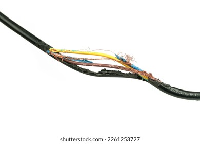 Damage on of electricity wire from rat bite on a white background.                     