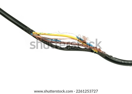 Damage on of electricity wire from rat bite on a white background.                     