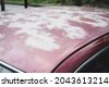 oxidation car paint