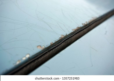  Damage To The Vehicle Paint Coating. Auto. Vehicle. Vehicle Surface.  Surface Of The Car.  Chipped Paint.                        