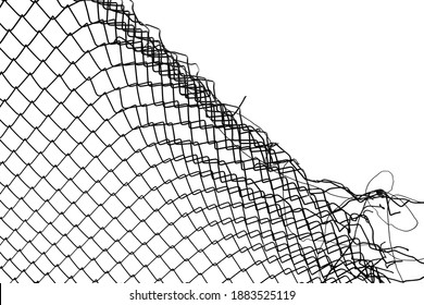 damage wire mesh on white background. Mesh netting with hole isolated on white background.             - Shutterstock ID 1883525119