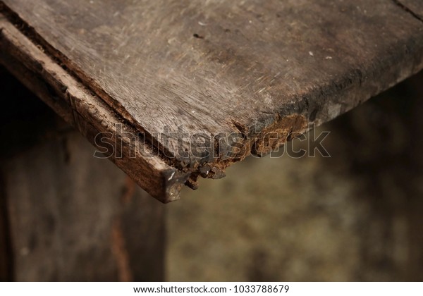 Damage wood surface by termite with space for\
write wording,  waste of money to repair or renovate the house and\
cause of infection\
disease