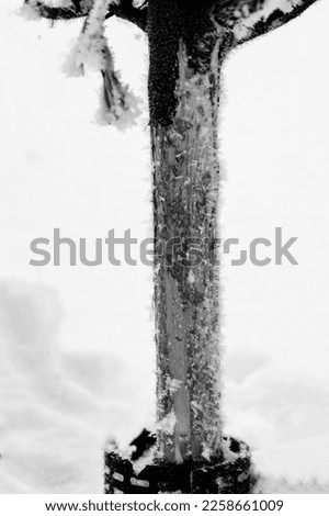 Similar – Image, Stock Photo snowed in Winter Snow Coat