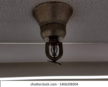 Damaged Bent Fire Sprinkler Head Pendent