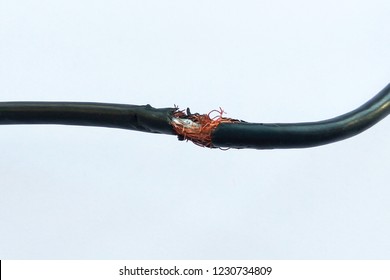 1,022 Dangerous Exposed Wires Images, Stock Photos & Vectors | Shutterstock