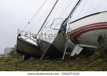 Similar – Image, Stock Photo After the storm surge