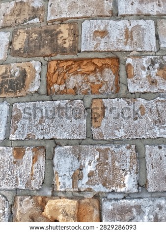 Damaged brick wall texture with spalling clay bricks and white efflorescence
