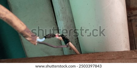 Damaged cable bitten by a big rat