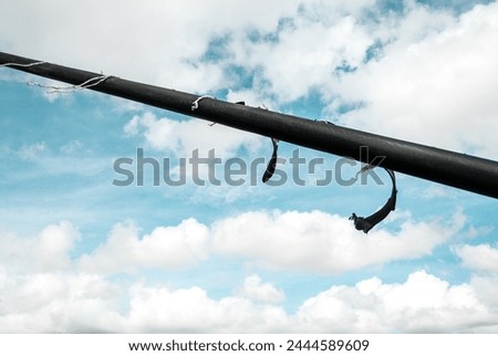 damaged cables of a cable stayed bridge through tough time