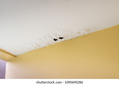 Damaged Ceiling From Water Leak In Rainy Season