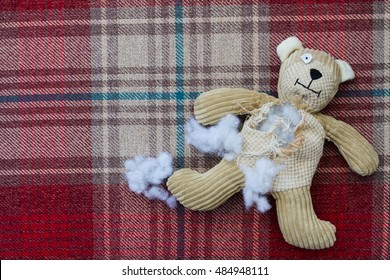 stuffing a teddy bear