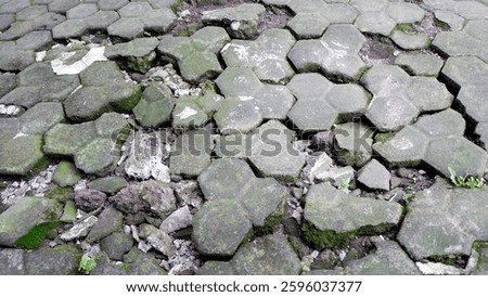 a damaged or deteriorated paved surface made of hexagonal concrete pavers.