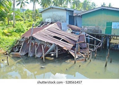 damaged house sinking in to the water in mangrove forest, collapsed old house in the water , Old house sinking in high river flood waters with submerged foundation , 