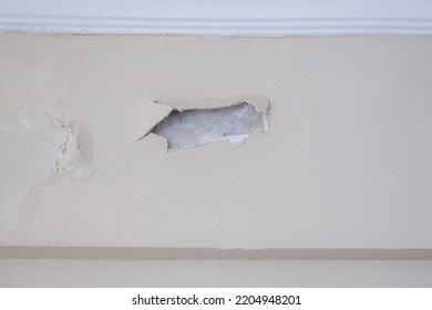 Damaged House Wall, Damp And Humid Wall, Humidity And Mould, Old And Aged House, Grunge Texture