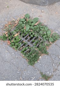 Damaged or improper handling of infrastructure potholes