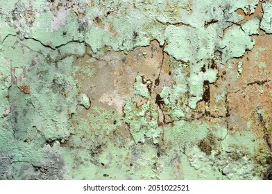 Damaged Moldy Background Wall Texture Outdoor Stock Photo 2051022521