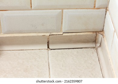Damaged Old Joints Between Tiles In A Bathroom Shower. Ceramic Tile Grout Repair