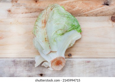 Damaged And Rotting Vegetables, Lettuce Head Wilting With Browning Edges