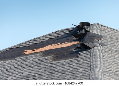 Damaged Shingle Roof