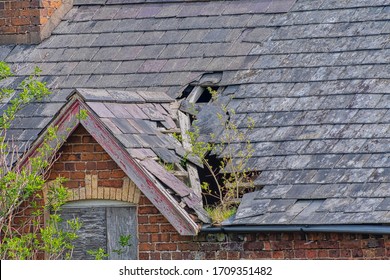 Damaged Slate Roof Tiles On A Pitched Roof On A Derelict House